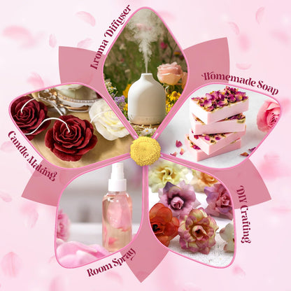 Hotel Diffuser Oils Gift Set, ARVIDSSON Luxury Fragrance Oil Blend, Hotel Scent Essential Oils for Diffuser, Jasmine & Mint, White Tea, Citrus Bliss, M-Way, Fancy Lobby, Gift for Women and Men