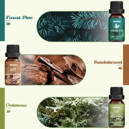 Hotel Diffuser Oils Gift Set, ARVIDSSON Luxury Fragrance Oil Blend, Hotel Scent Essential Oils for Diffuser, Jasmine & Mint, White Tea, Citrus Bliss, M-Way, Fancy Lobby, Gift for Women and Men