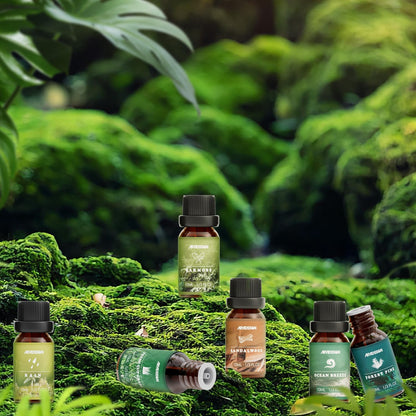 Hotel Diffuser Oils Gift Set, ARVIDSSON Luxury Fragrance Oil Blend, Hotel Scent Essential Oils for Diffuser, Jasmine & Mint, White Tea, Citrus Bliss, M-Way, Fancy Lobby, Gift for Women and Men