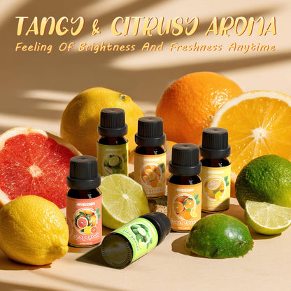 Hotel Diffuser Oils Gift Set, ARVIDSSON Luxury Fragrance Oil Blend, Hotel Scent Essential Oils for Diffuser, Jasmine & Mint, White Tea, Citrus Bliss, M-Way, Fancy Lobby, Gift for Women and Men