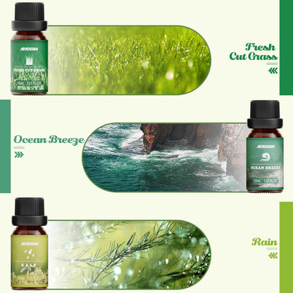 Hotel Diffuser Oils Gift Set, ARVIDSSON Luxury Fragrance Oil Blend, Hotel Scent Essential Oils for Diffuser, Jasmine & Mint, White Tea, Citrus Bliss, M-Way, Fancy Lobby, Gift for Women and Men