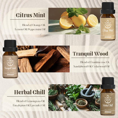 Hotel Diffuser Oils Gift Set, ARVIDSSON Luxury Fragrance Oil Blend, Hotel Scent Essential Oils for Diffuser, Jasmine & Mint, White Tea, Citrus Bliss, M-Way, Fancy Lobby, Gift for Women and Men